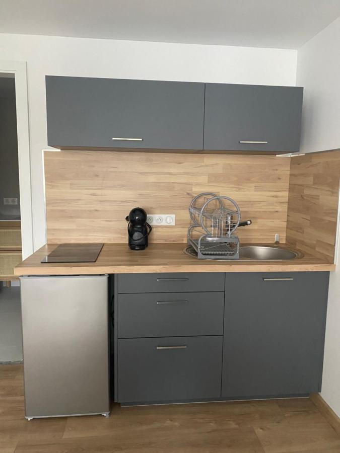 Apartmán Les Petites Plumes D'Hag Haguenau Exteriér fotografie