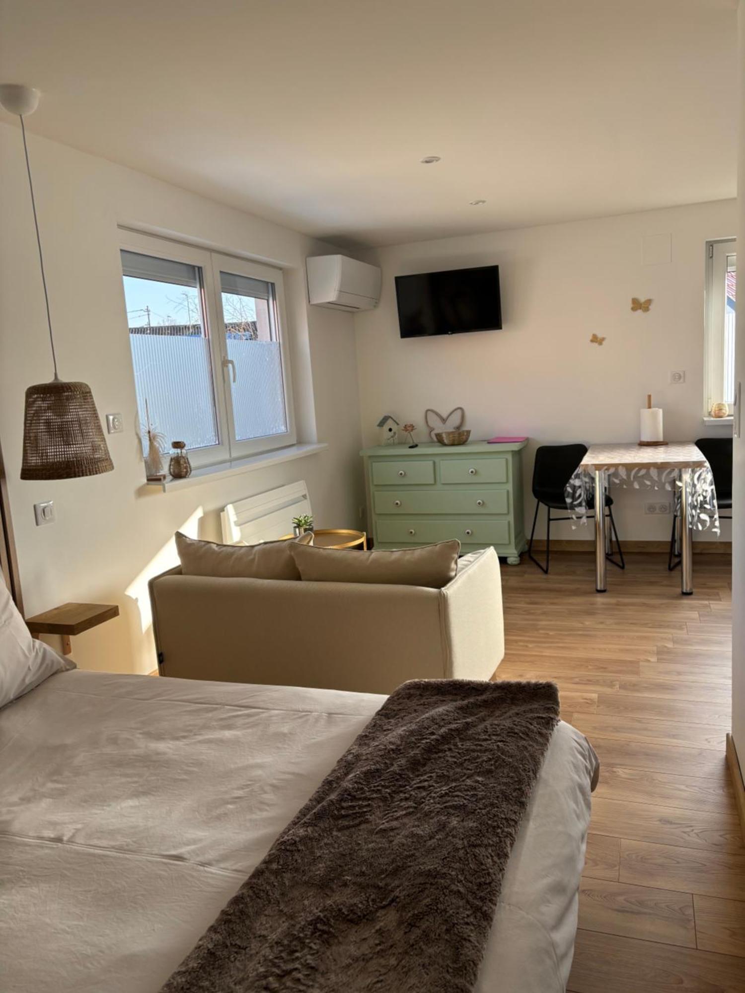 Apartmán Les Petites Plumes D'Hag Haguenau Exteriér fotografie